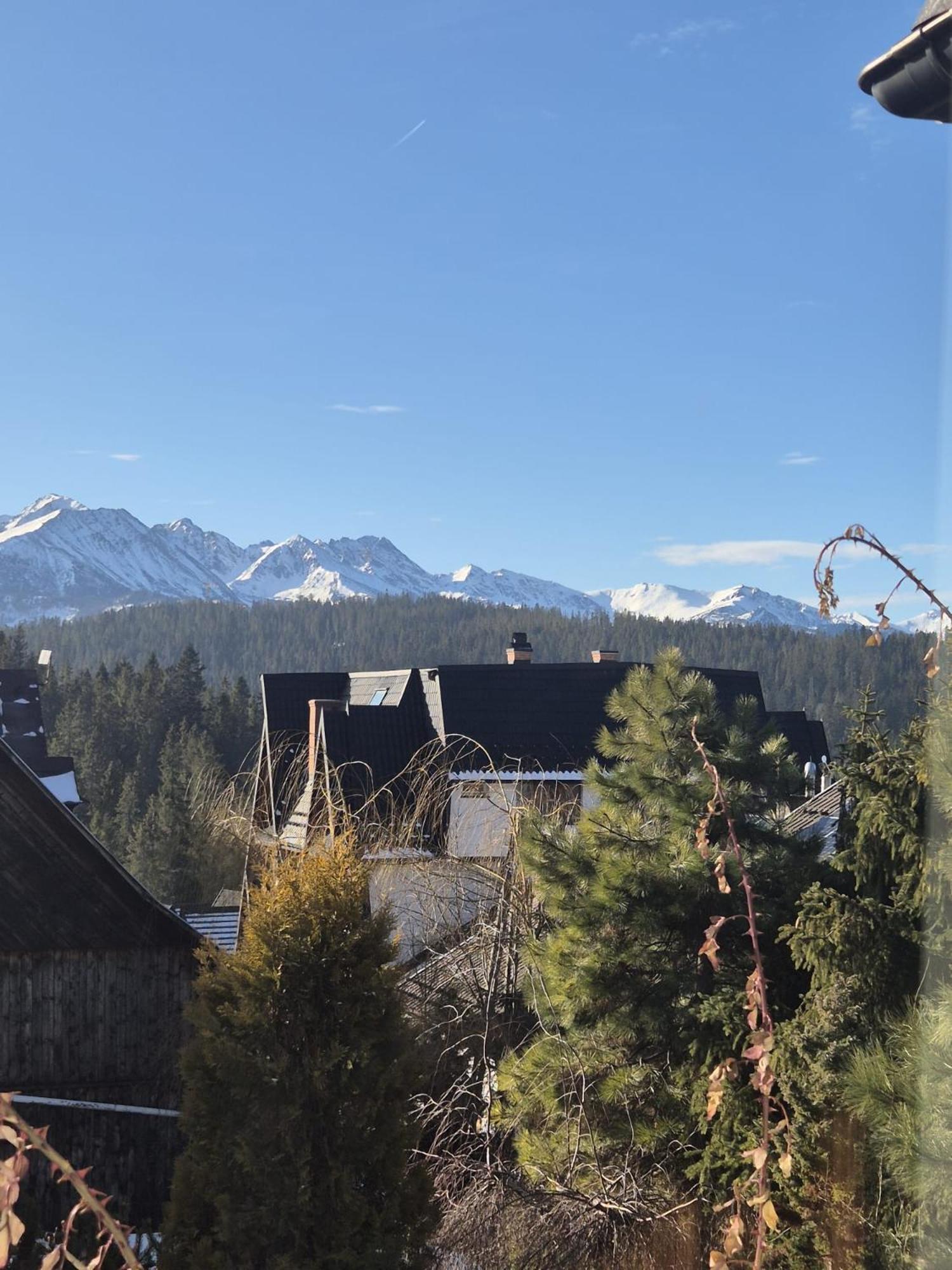 Natura Bukowina Tatrzańska Exterior foto