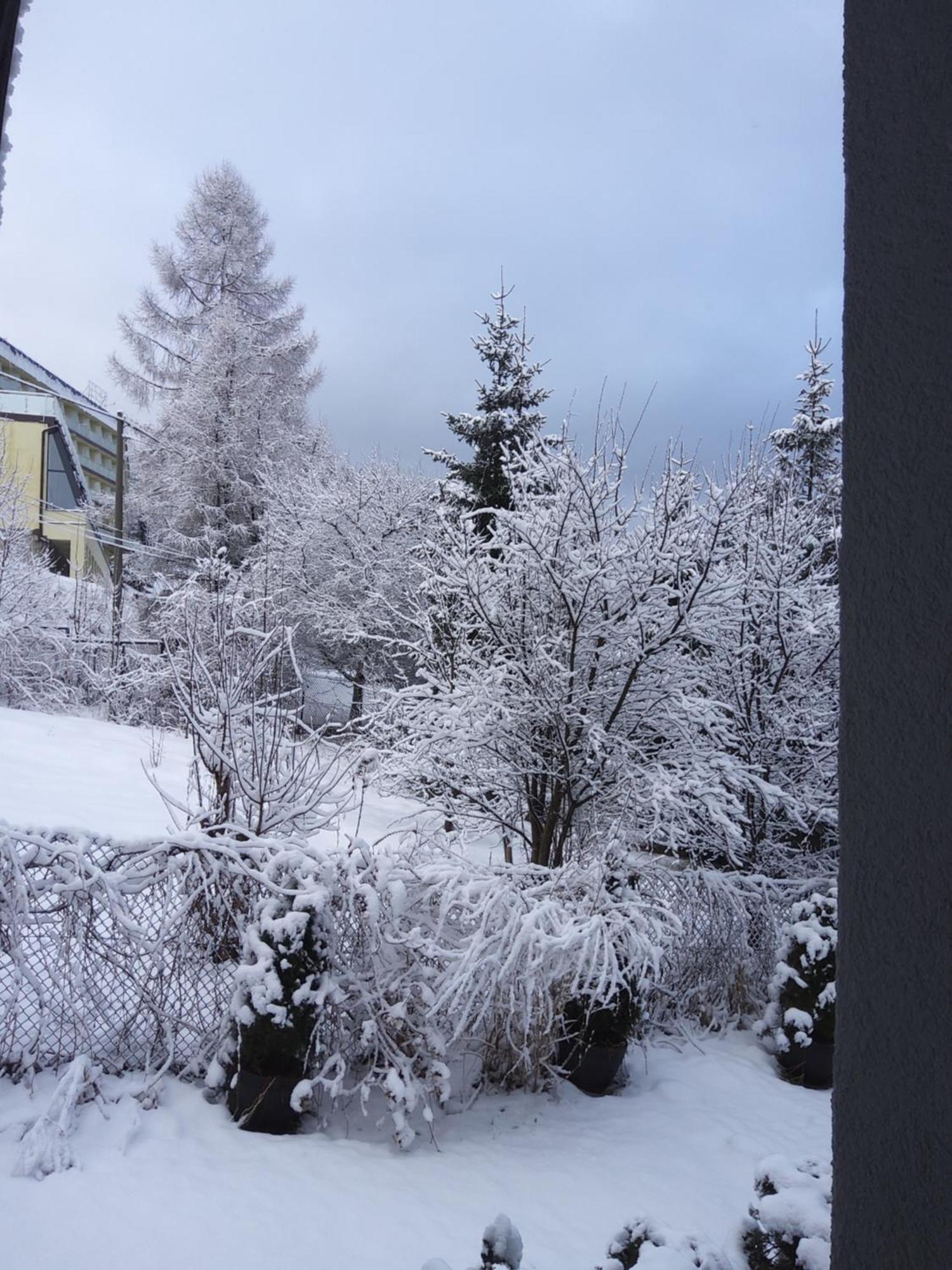 Natura Bukowina Tatrzańska Exterior foto