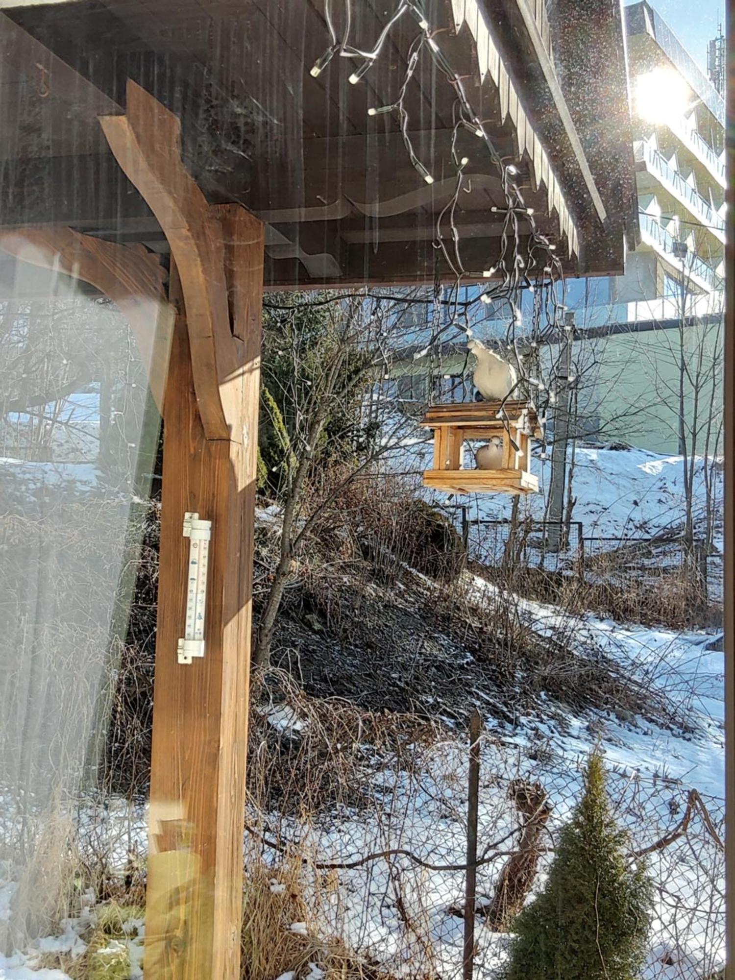 Natura Bukowina Tatrzańska Exterior foto